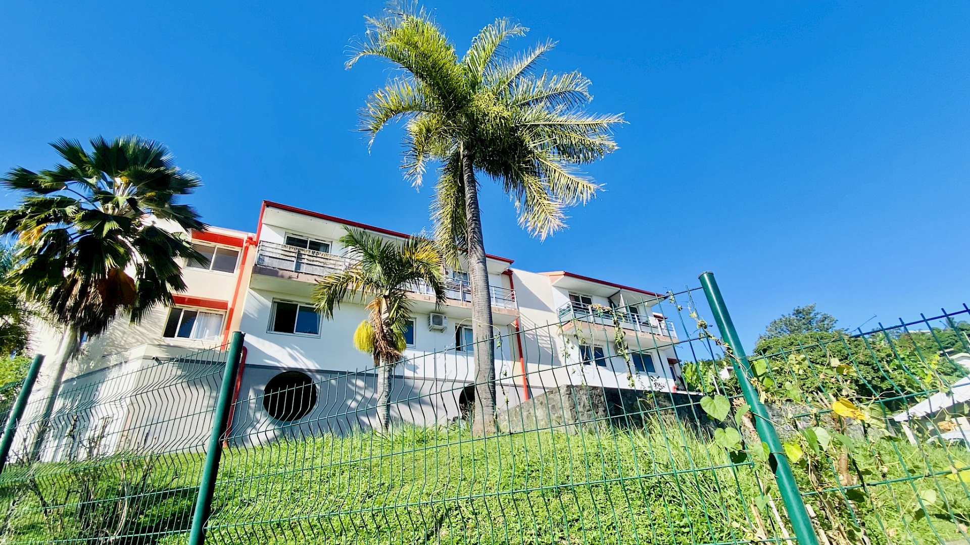 STUDIO libre Janvier 2024 20m2 CENTRAL FAC 97490