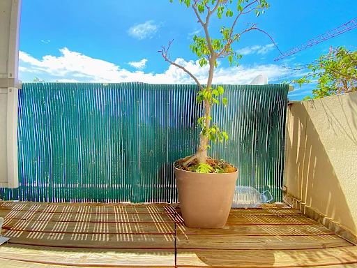 Appartement T3 libre - petite terrasse - 1 parking - Sainte-clotilde