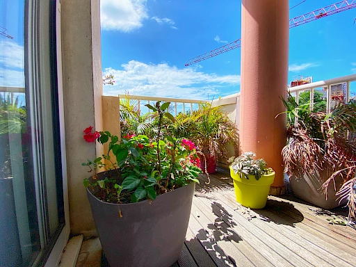 Appartement T3 libre - petite terrasse - 1 parking - Sainte-clotilde