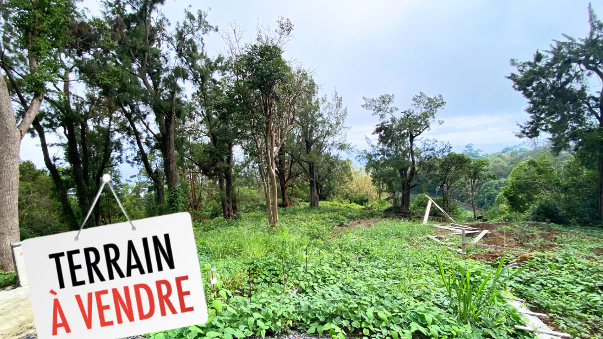 TERRAIN SAINT-FRANÇOIS 1 124m2 constructible