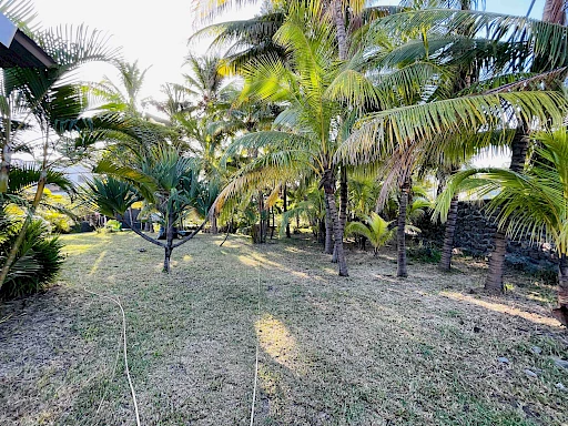 EN EXCLUSIVITE RARE SUR LE SECTEUR DE SAINT GILLES LES BAINS VILLA SUR UN TERRAIN DE 1250 m2