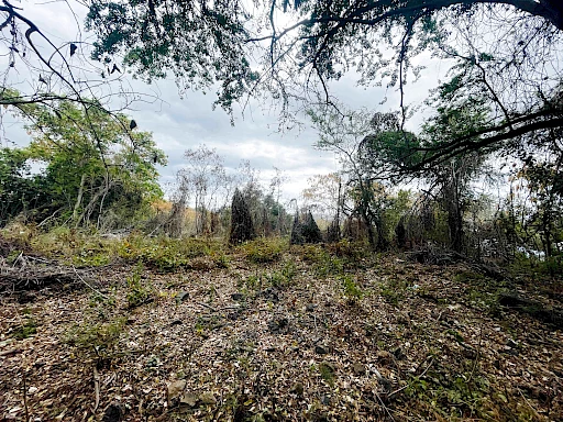LA POSSESSION (BOEUF MORT) - TERRAIN À BÂTIR 2 595 m2 CONSTRUCTIBLES