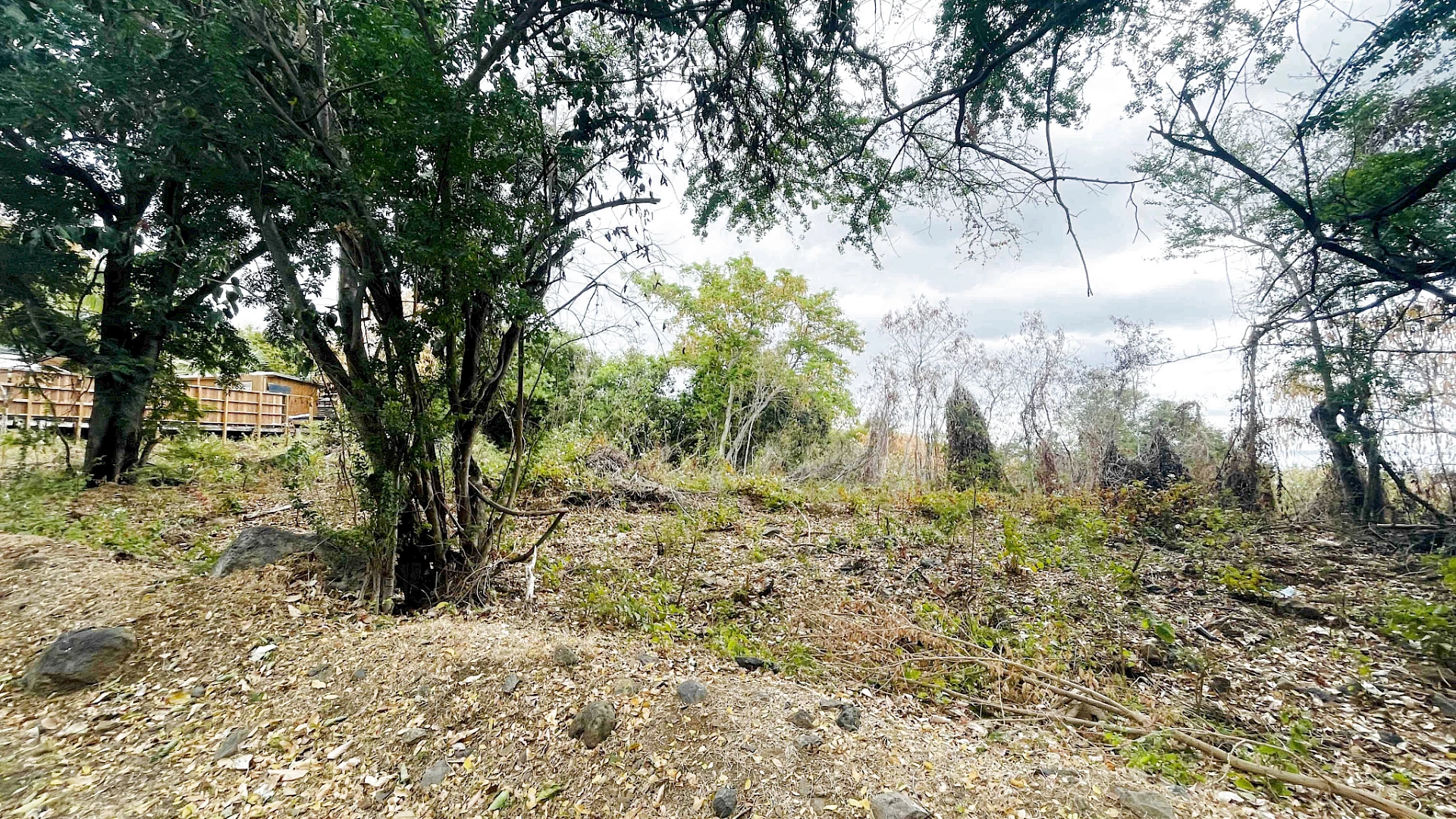 LA POSSESSION (BOEUF MORT) - TERRAIN À BÂTIR 2 595 m2 CONSTRUCTIBLES