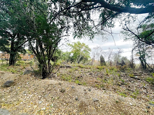 LA POSSESSION (BOEUF MORT) - TERRAIN À BÂTIR 2 595 m2 CONSTRUCTIBLES