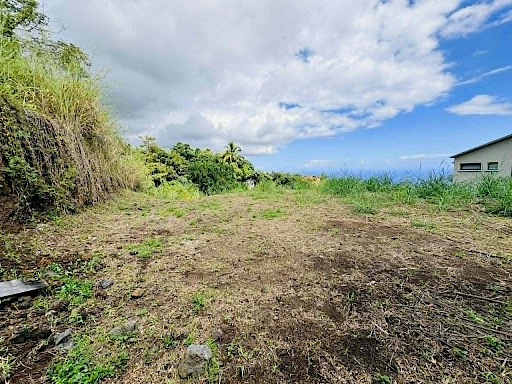 BOIS DE NEFLES SAINT PAUL - GRAND TERRAIN DE 1 050 m2