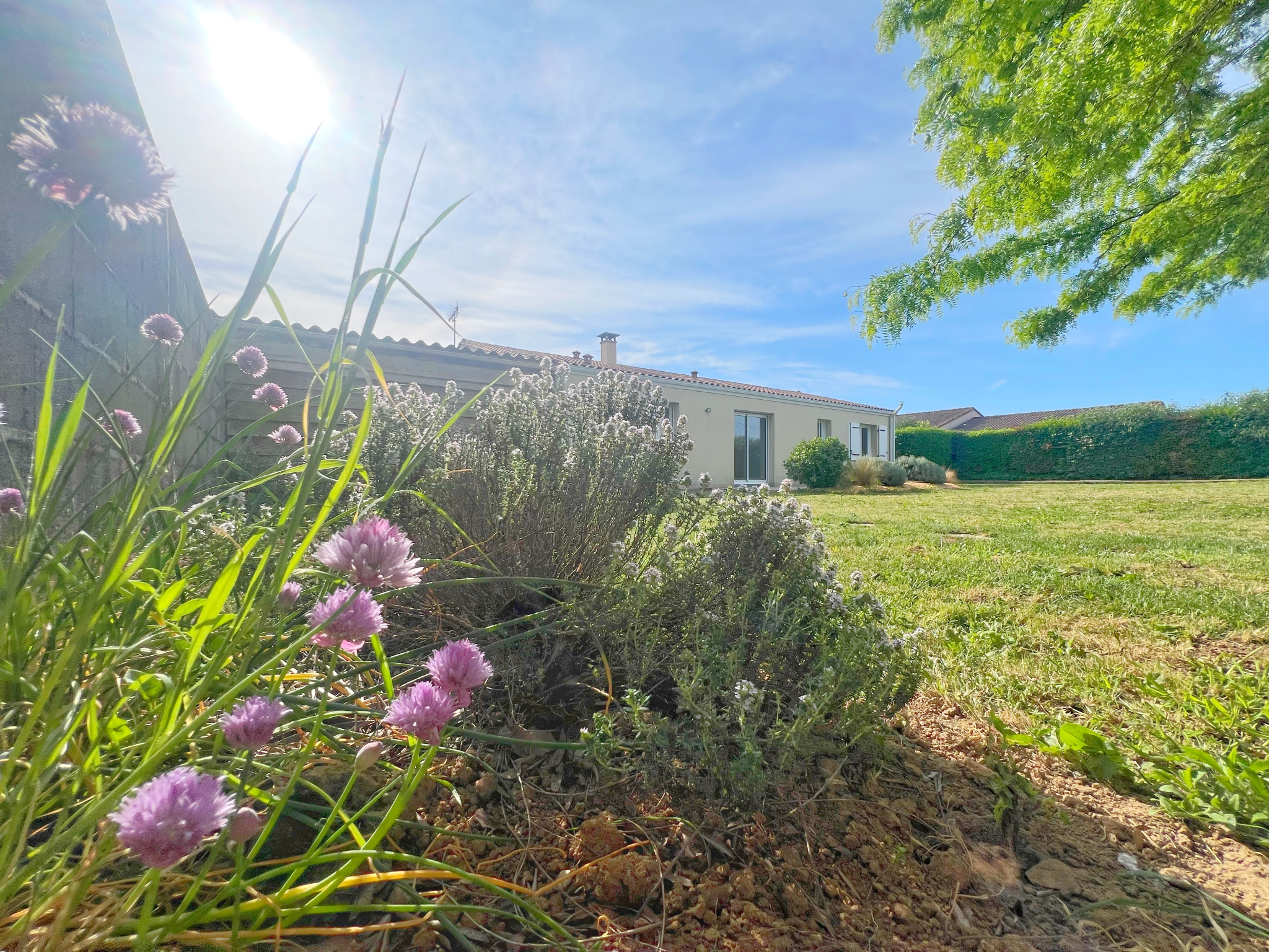 FAYE SUR ARDIN - MAISON F4 PLAIN-PIED