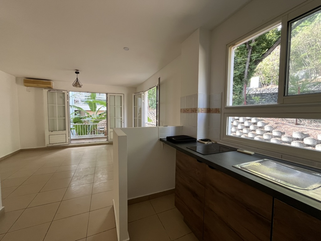 LA POSSESSION (BAS DE RAVINE A MALHEUR) (REUNION) - Studio - 28 m2 - 1